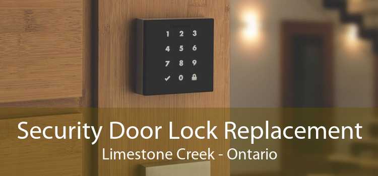 Security Door Lock Replacement Limestone Creek - Ontario