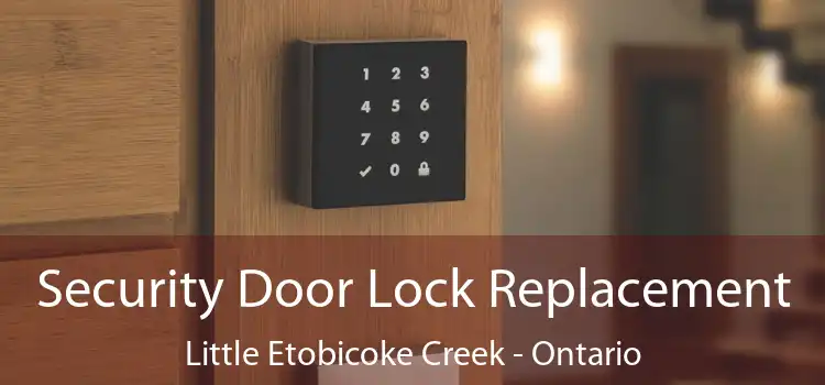 Security Door Lock Replacement Little Etobicoke Creek - Ontario