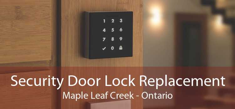 Security Door Lock Replacement Maple Leaf Creek - Ontario