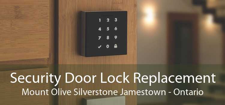 Security Door Lock Replacement Mount Olive Silverstone Jamestown - Ontario