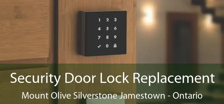 Security Door Lock Replacement Mount Olive Silverstone Jamestown - Ontario