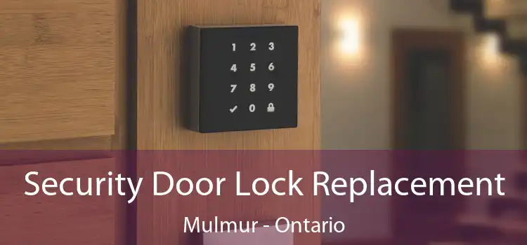 Security Door Lock Replacement Mulmur - Ontario