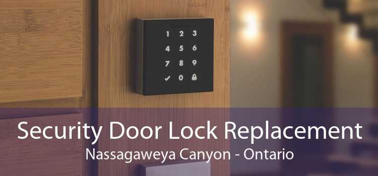 Security Door Lock Replacement Nassagaweya Canyon - Ontario