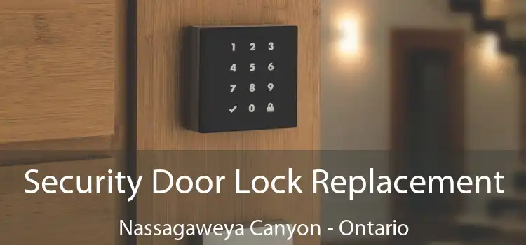 Security Door Lock Replacement Nassagaweya Canyon - Ontario
