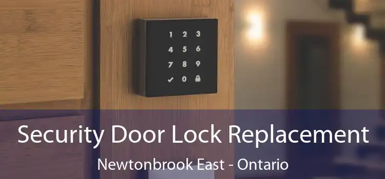 Security Door Lock Replacement Newtonbrook East - Ontario