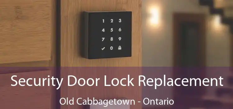 Security Door Lock Replacement Old Cabbagetown - Ontario