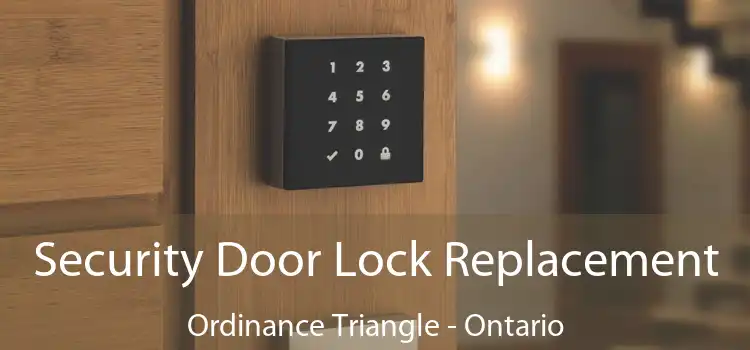 Security Door Lock Replacement Ordinance Triangle - Ontario