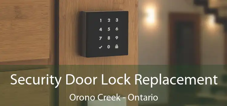 Security Door Lock Replacement Orono Creek - Ontario