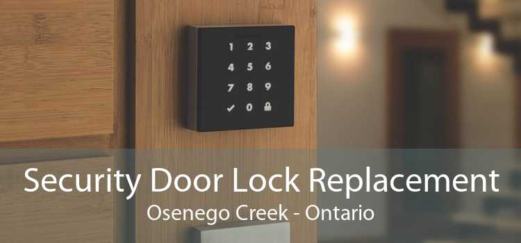 Security Door Lock Replacement Osenego Creek - Ontario