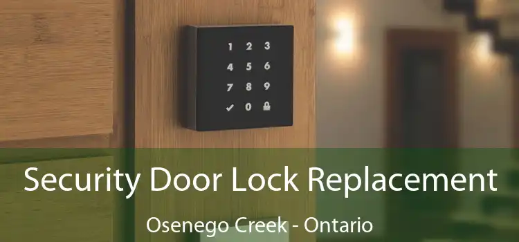 Security Door Lock Replacement Osenego Creek - Ontario