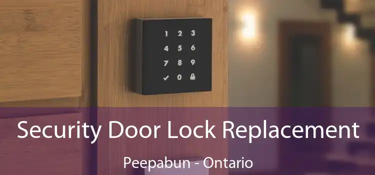 Security Door Lock Replacement Peepabun - Ontario
