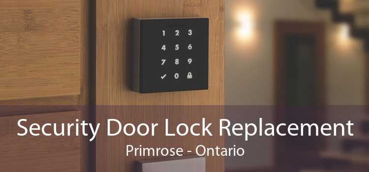 Security Door Lock Replacement Primrose - Ontario