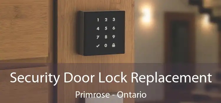 Security Door Lock Replacement Primrose - Ontario