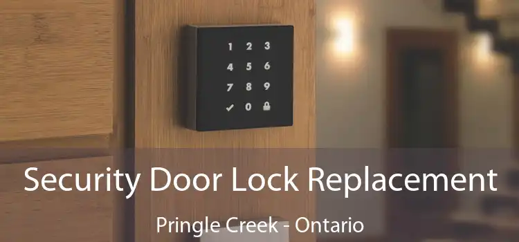 Security Door Lock Replacement Pringle Creek - Ontario