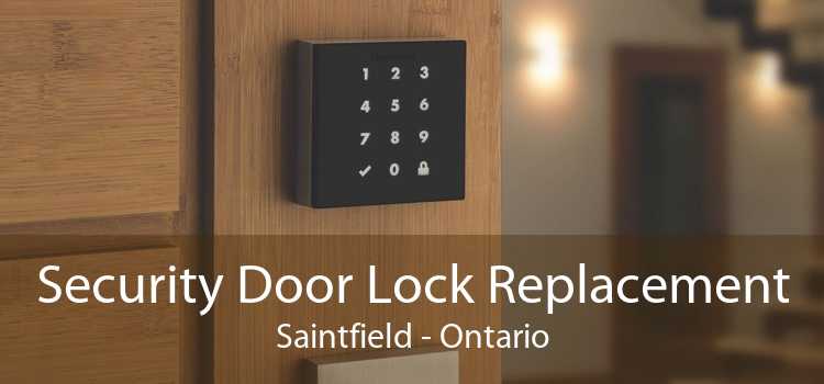 Security Door Lock Replacement Saintfield - Ontario
