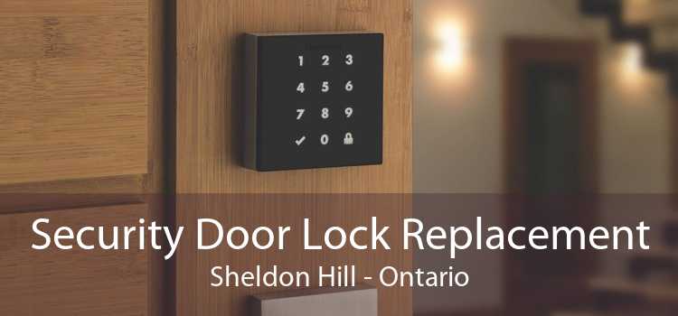 Security Door Lock Replacement Sheldon Hill - Ontario