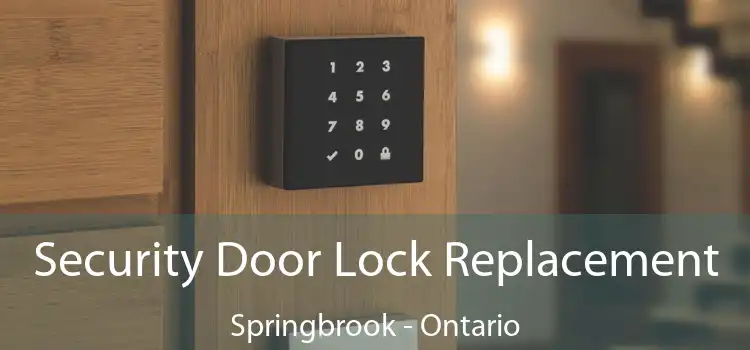 Security Door Lock Replacement Springbrook - Ontario
