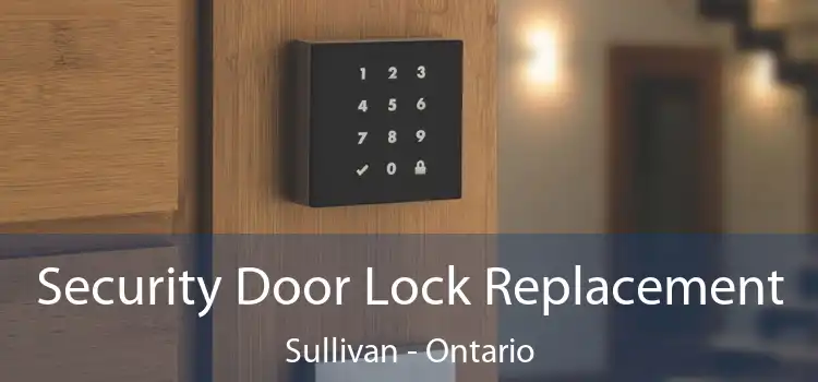 Security Door Lock Replacement Sullivan - Ontario