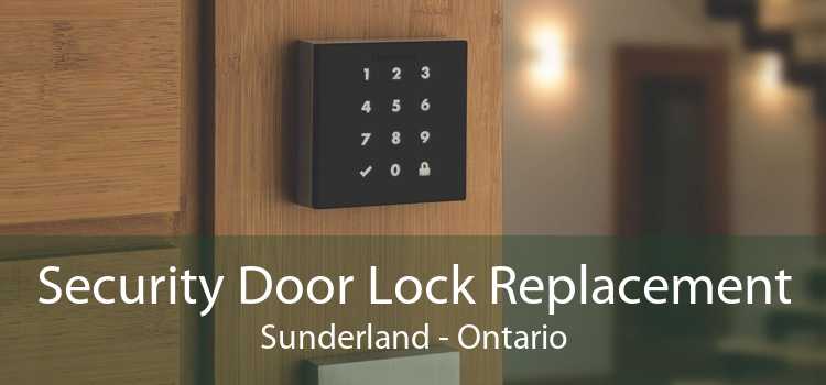 Security Door Lock Replacement Sunderland - Ontario