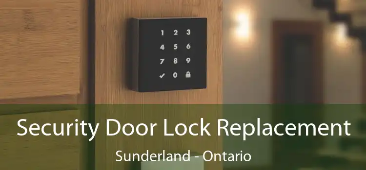 Security Door Lock Replacement Sunderland - Ontario