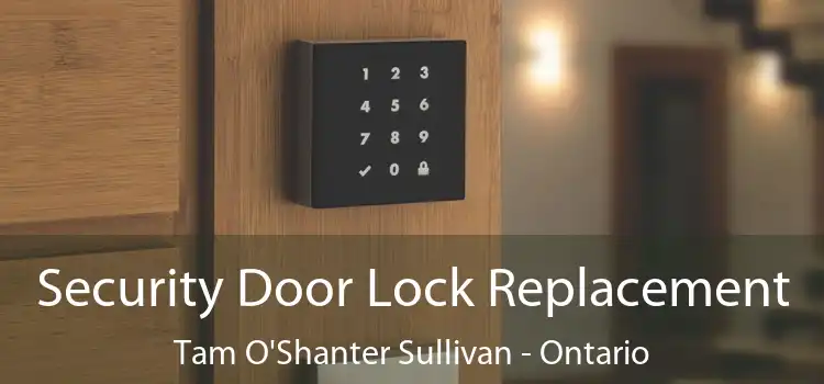 Security Door Lock Replacement Tam O'Shanter Sullivan - Ontario