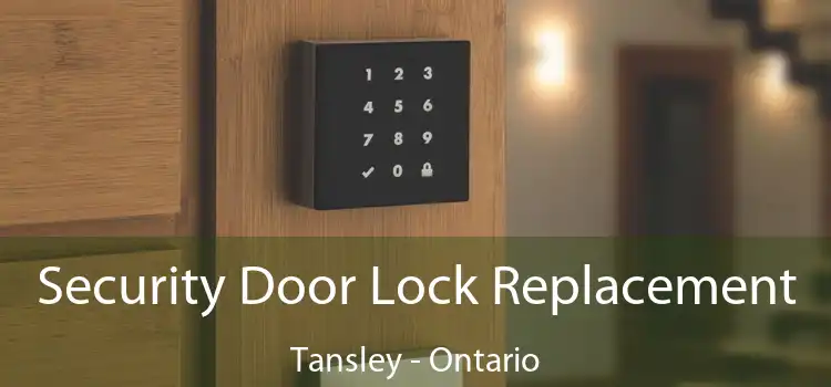 Security Door Lock Replacement Tansley - Ontario