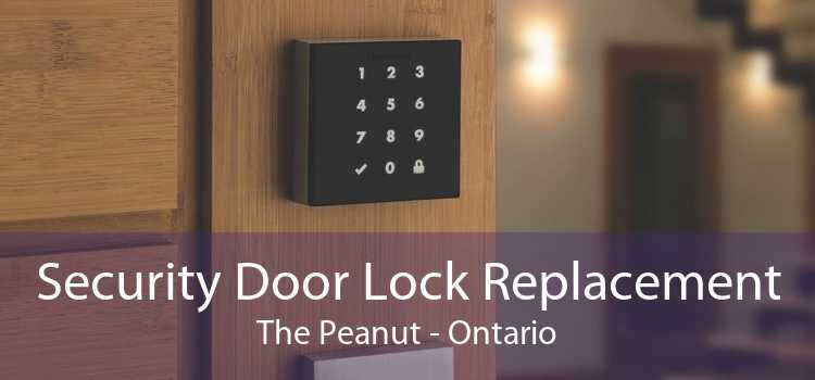Security Door Lock Replacement The Peanut - Ontario