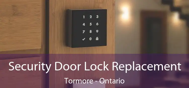 Security Door Lock Replacement Tormore - Ontario