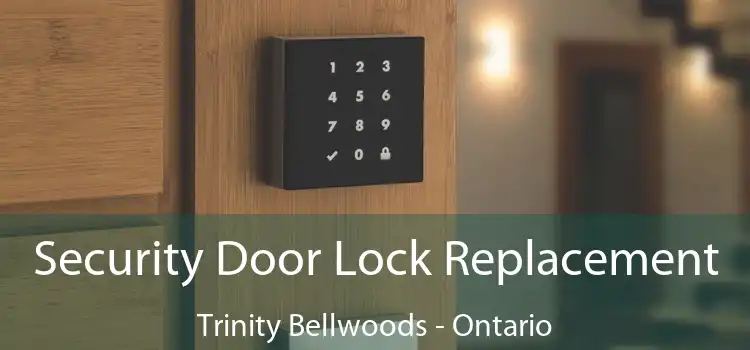 Security Door Lock Replacement Trinity Bellwoods - Ontario