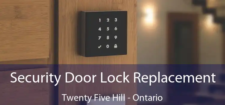 Security Door Lock Replacement Twenty Five Hill - Ontario