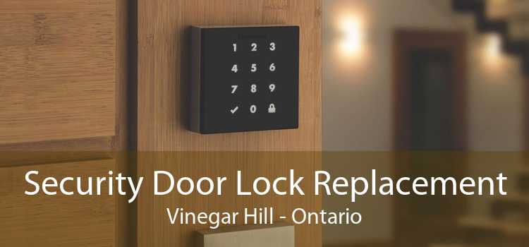 Security Door Lock Replacement Vinegar Hill - Ontario