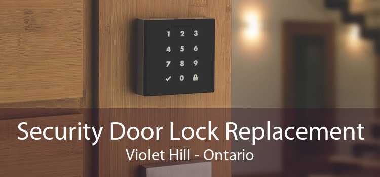Security Door Lock Replacement Violet Hill - Ontario