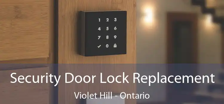 Security Door Lock Replacement Violet Hill - Ontario
