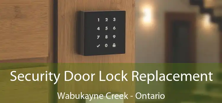 Security Door Lock Replacement Wabukayne Creek - Ontario