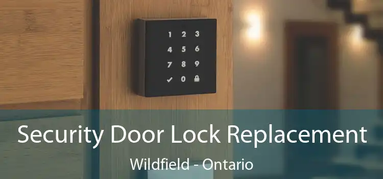 Security Door Lock Replacement Wildfield - Ontario