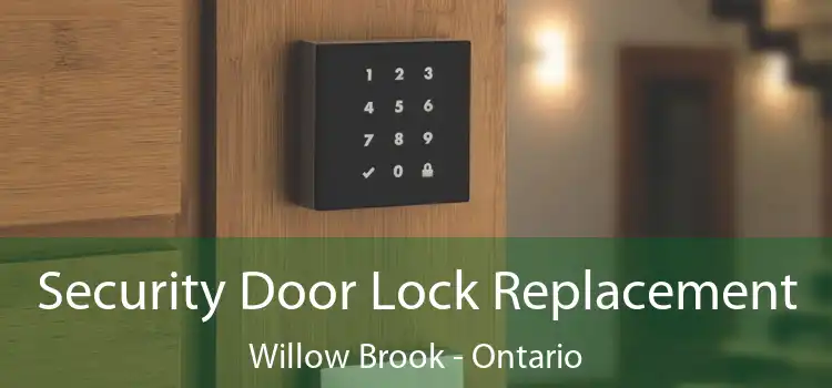 Security Door Lock Replacement Willow Brook - Ontario