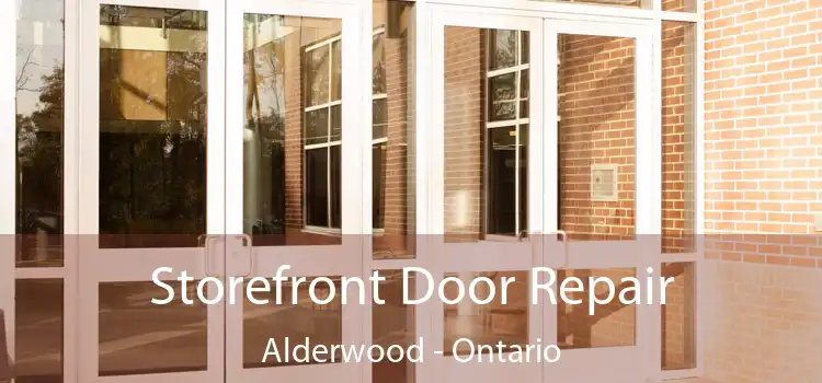 Storefront Door Repair Alderwood - Ontario