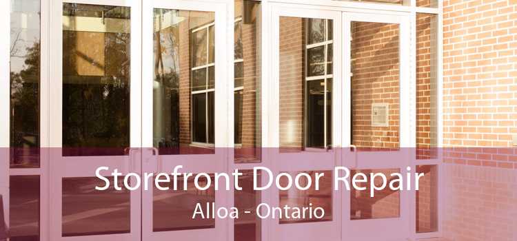 Storefront Door Repair Alloa - Ontario