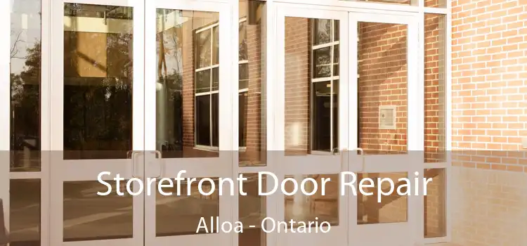 Storefront Door Repair Alloa - Ontario