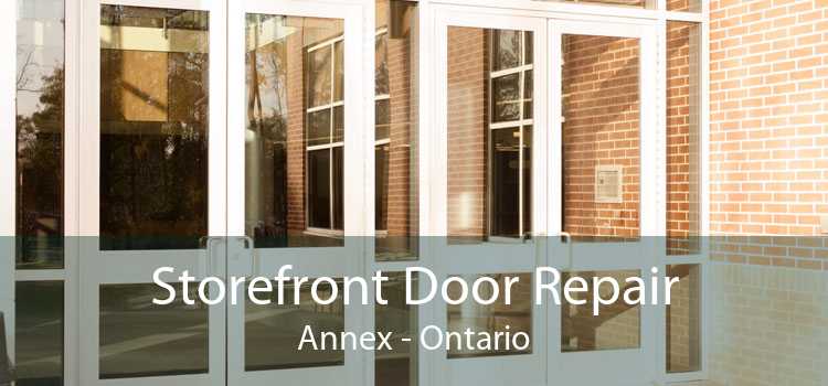 Storefront Door Repair Annex - Ontario