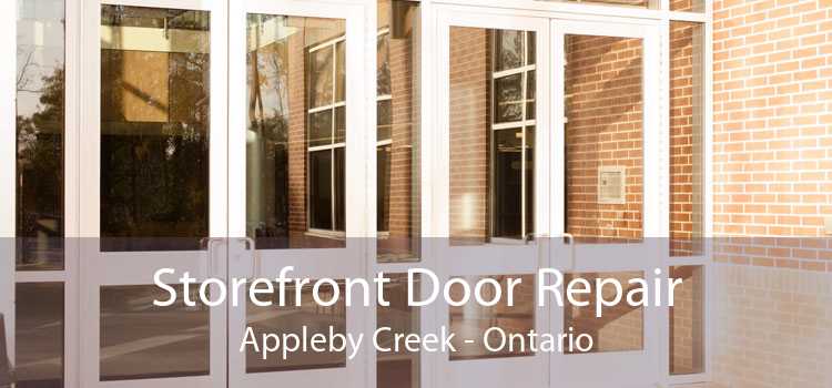 Storefront Door Repair Appleby Creek - Ontario