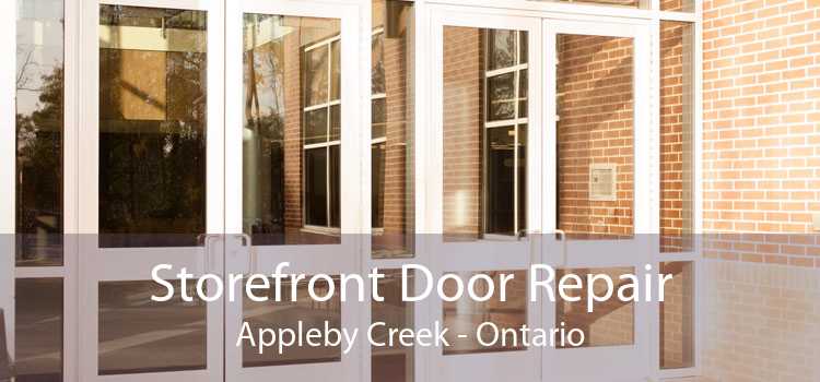 Storefront Door Repair Appleby Creek - Ontario