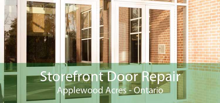 Storefront Door Repair Applewood Acres - Ontario
