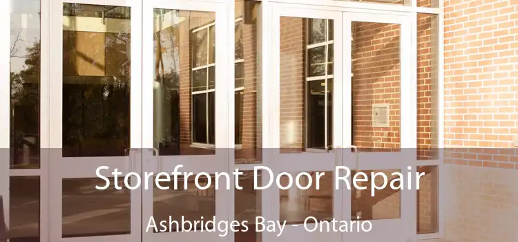 Storefront Door Repair Ashbridges Bay - Ontario