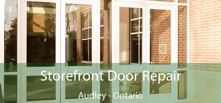 Storefront Door Repair Audley - Ontario
