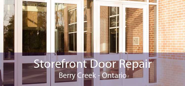 Storefront Door Repair Berry Creek - Ontario