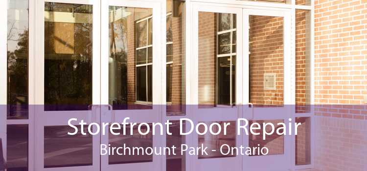Storefront Door Repair Birchmount Park - Ontario