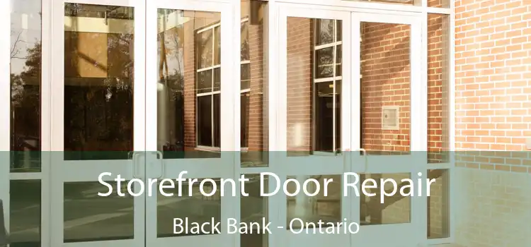 Storefront Door Repair Black Bank - Ontario