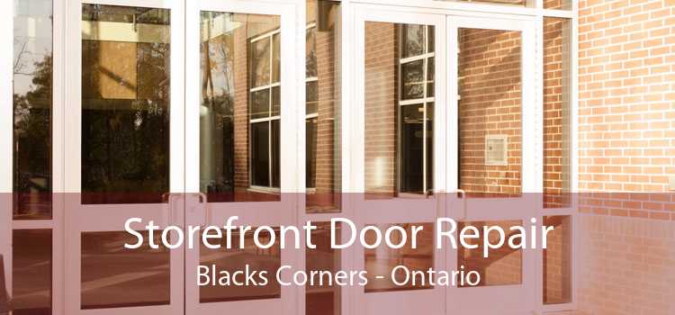 Storefront Door Repair Blacks Corners - Ontario