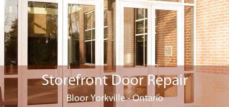 Storefront Door Repair Bloor Yorkville - Ontario